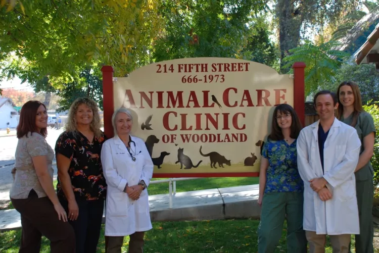 Animal Care Clinic of Woodland, California, Woodland